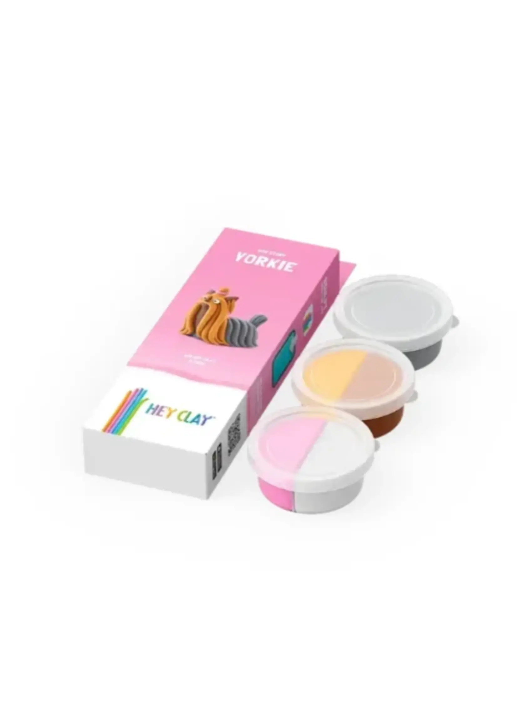 Hey Clay Hey Clay - Yorkshire terrier