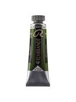 REMBRANDT Rembrandt Olieverf Tube 15 ml Sapgroen 623