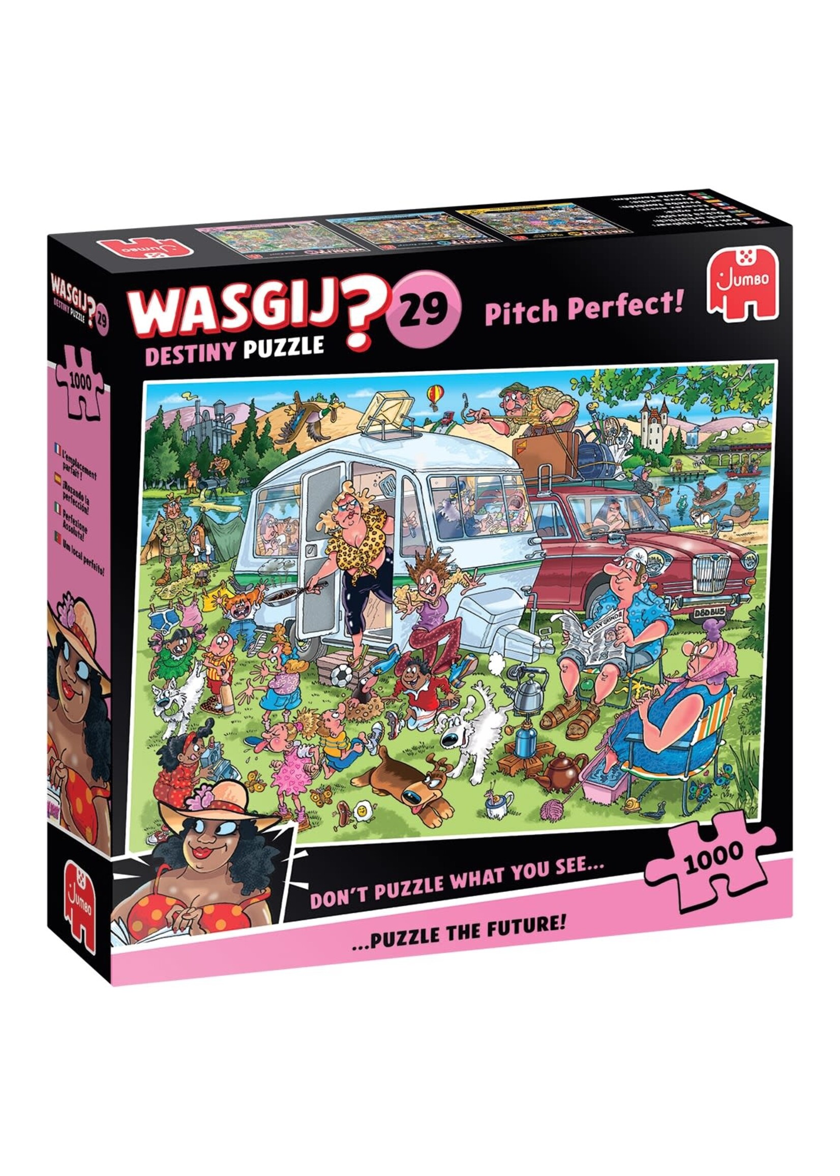 Jumbo Jumbo Wasgij Destiny 29 – Op de Camping (1000 stukjes)