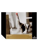 REMBRANDT Rembrandt Olieverfpapier | 24 x 32 cm, 300 g, 10 vellen