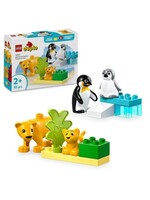 Lego DUPLO 10442 Penguins en leeuwen
