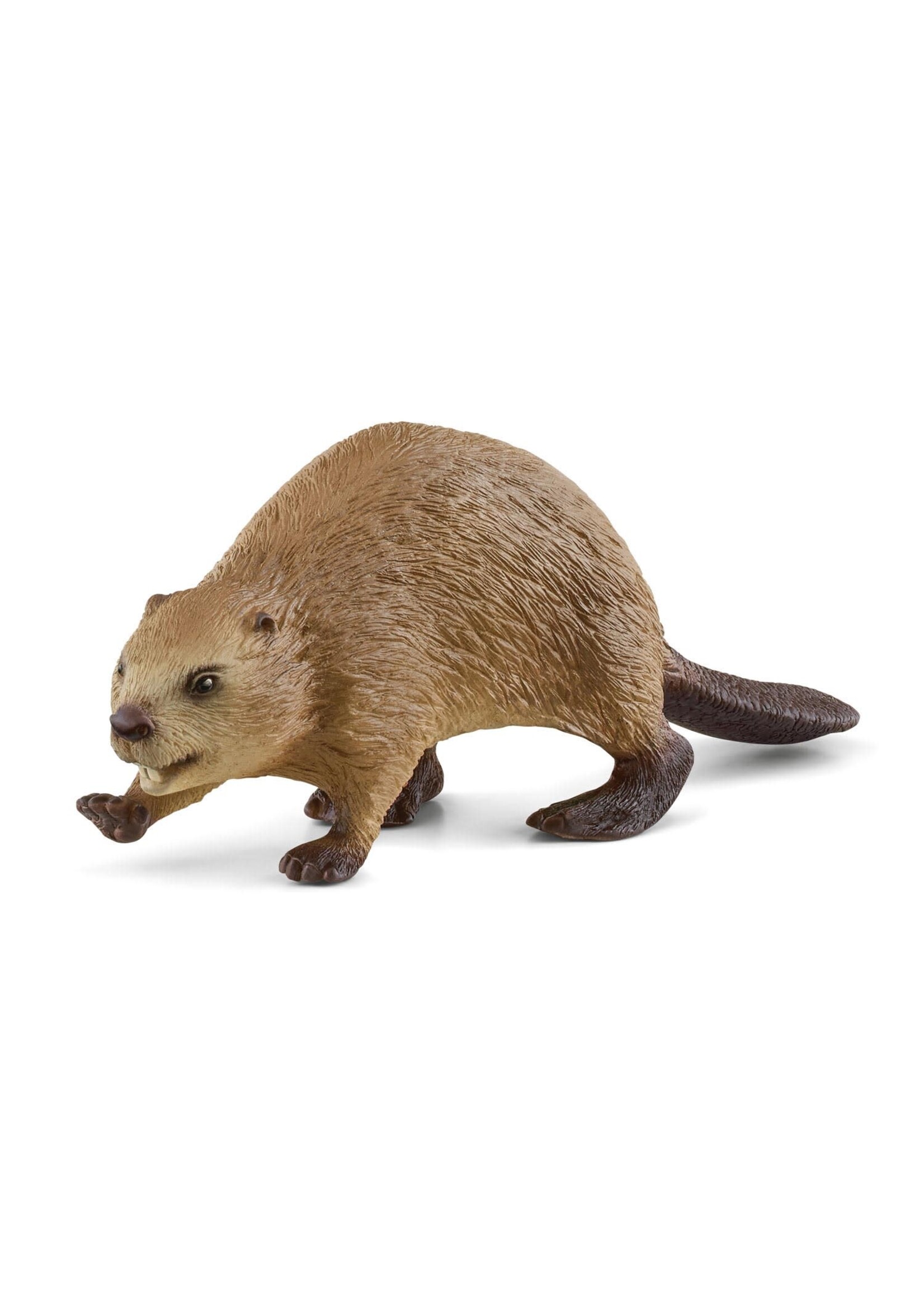 Schleich Schleich Bever (14855)