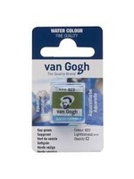 VAN GOGH Van Gogh Aquarelverf Napje 1 piece Sapgroen 623