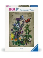 Ravensburger Ravenburger Puzzel the Life Cycle of the Butterfly (1000 stukjes)