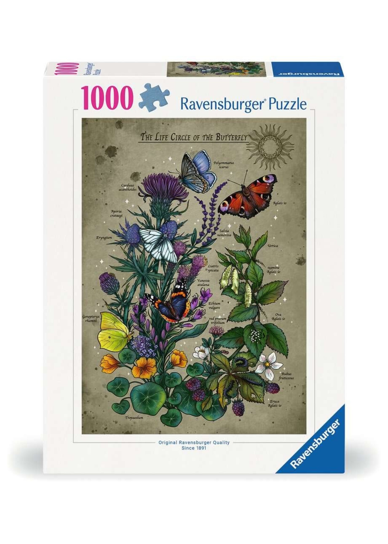 Ravensburger Ravenburger Puzzel the Life Cycle of the Butterfly (1000 stukjes)