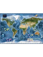 Heye Heye Satellite Map (2000 stukjes)