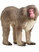 Schleich Schleich 14871 Wild Life Japanse makaak