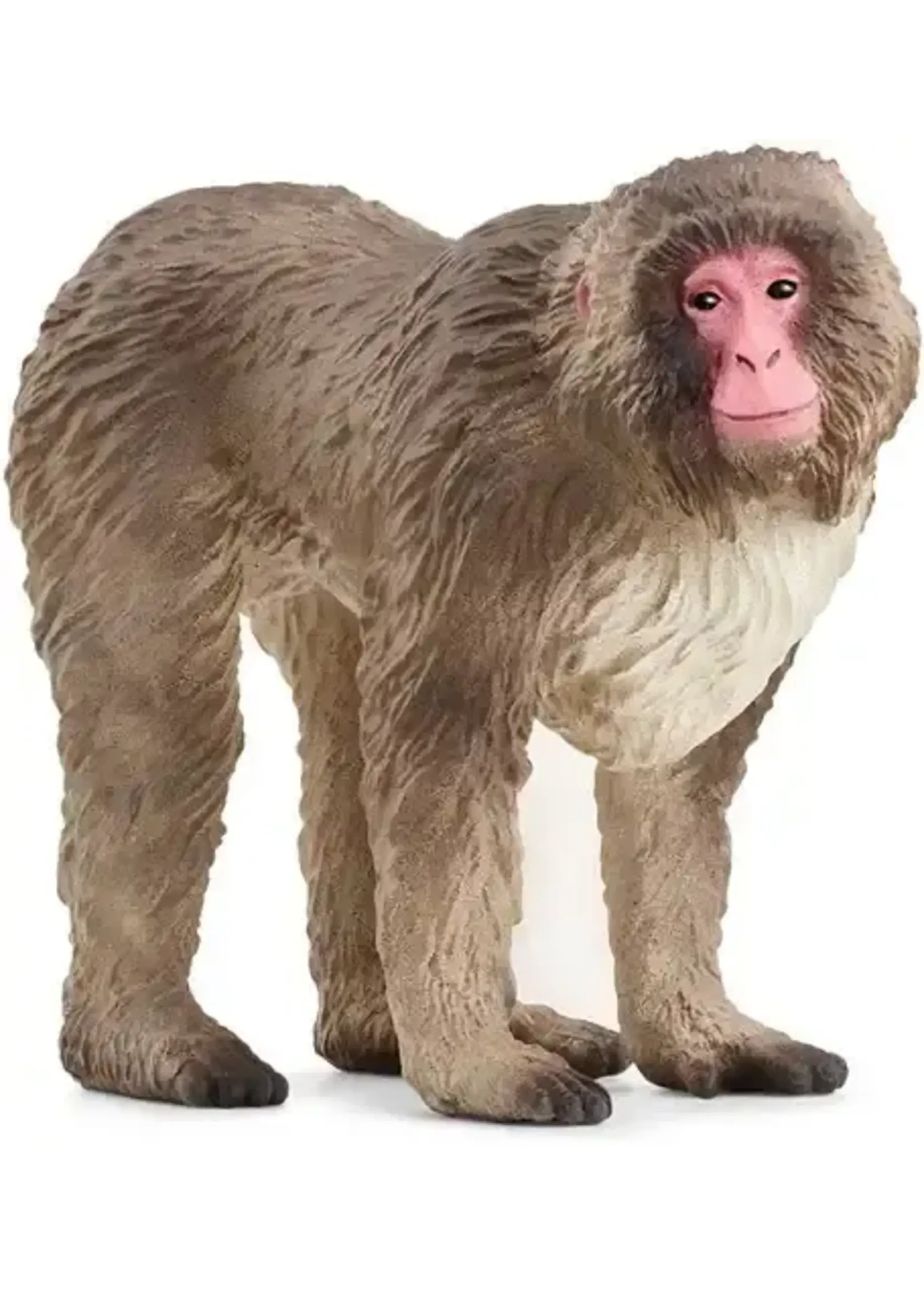 Schleich Schleich 14871 Wild Life Japanse makaak