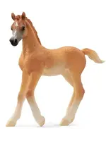 Schleich 13984 Horse Club Arabisch veulen
