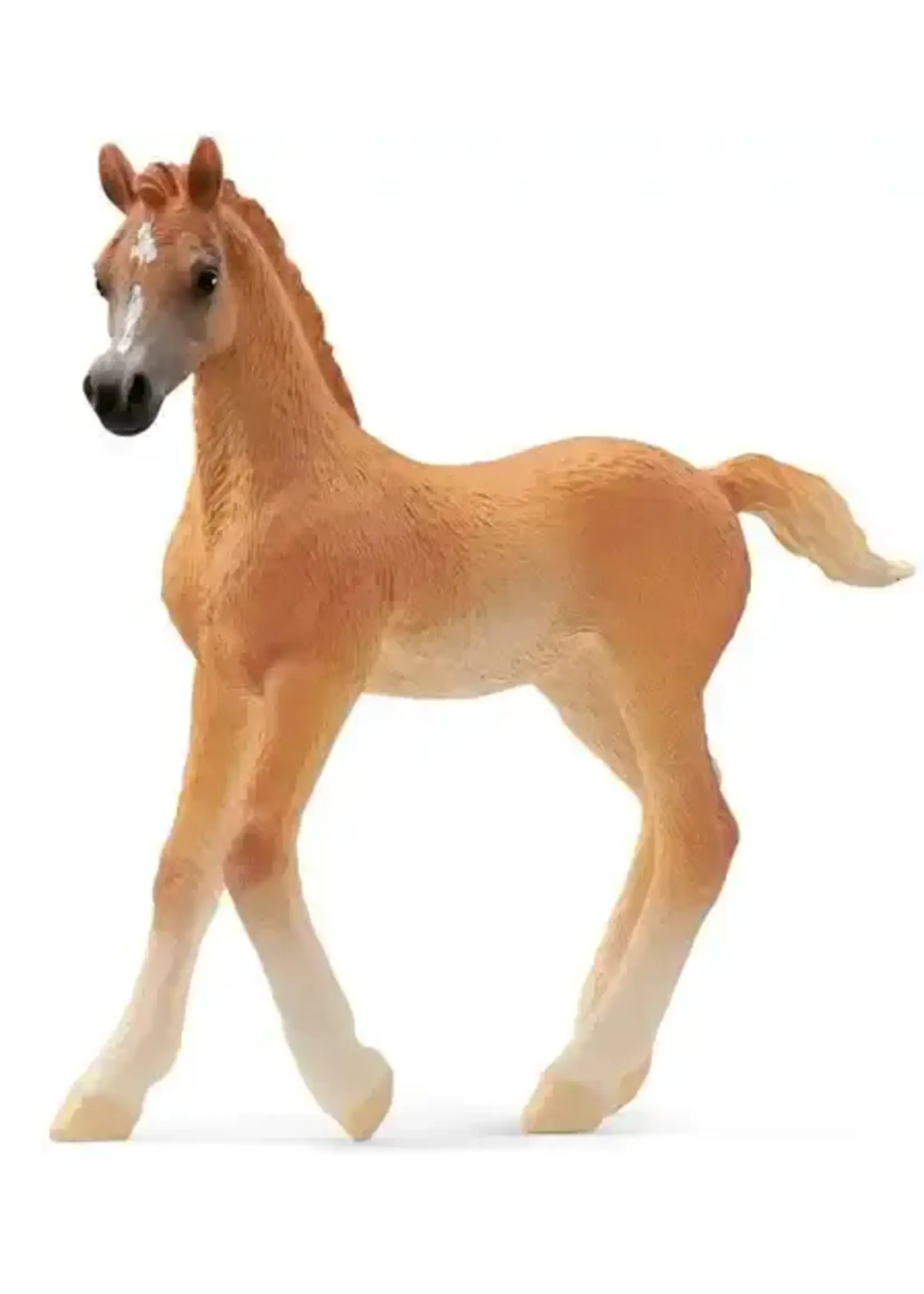 Schleich 13984 Horse Club Arabisch veulen