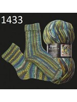 Opal Opal Hundertwassers 100 gram kleur 1433