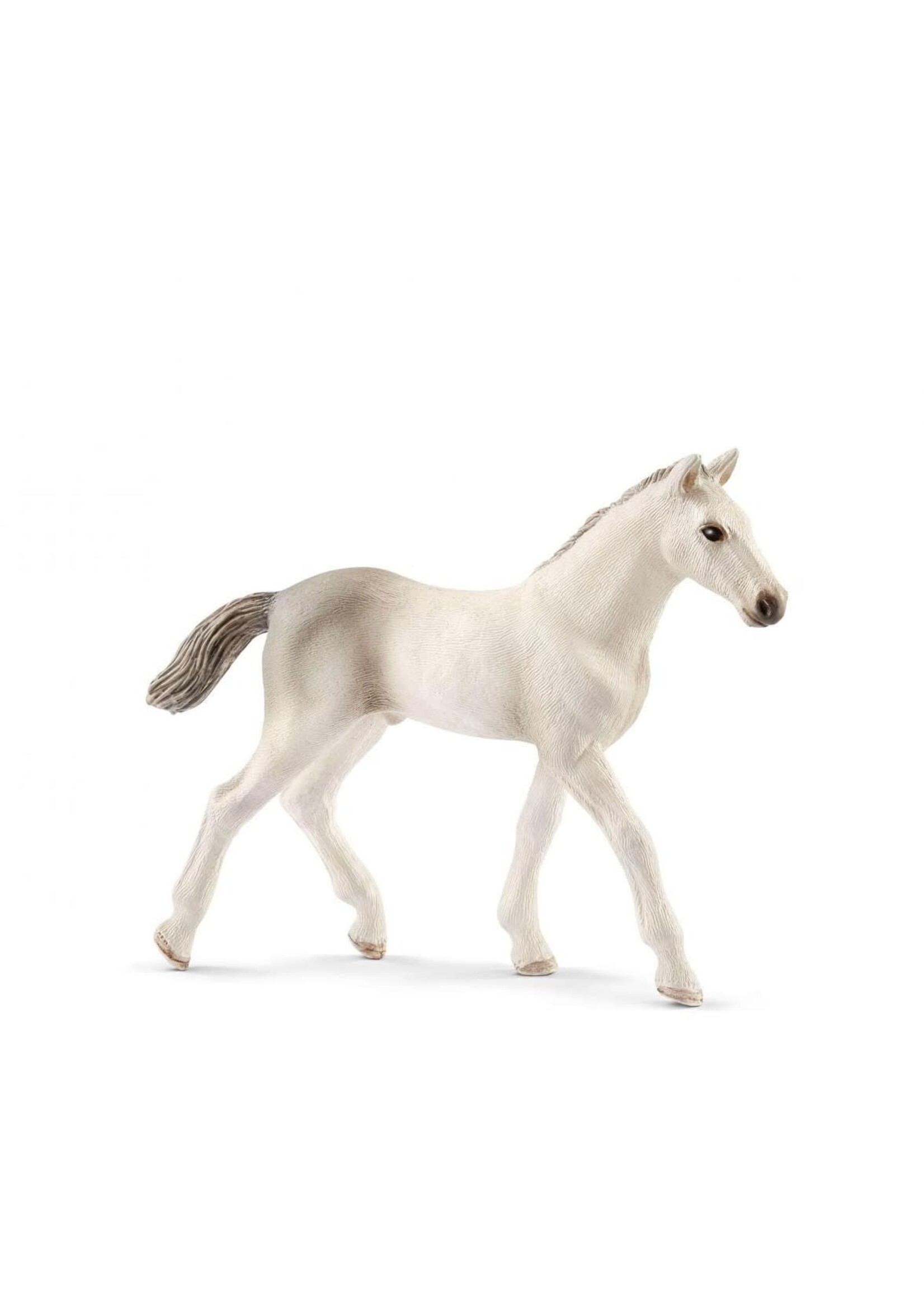 Schleich Schleich Horse Club Holsteiner foal