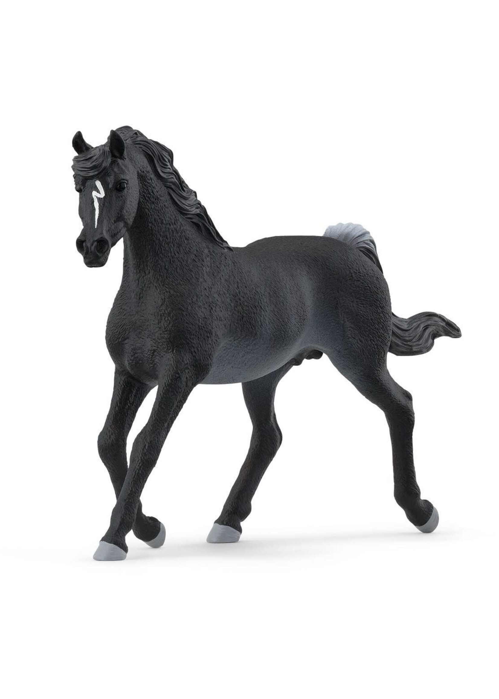 Schleich Schleich Horse Club Arabische hengst