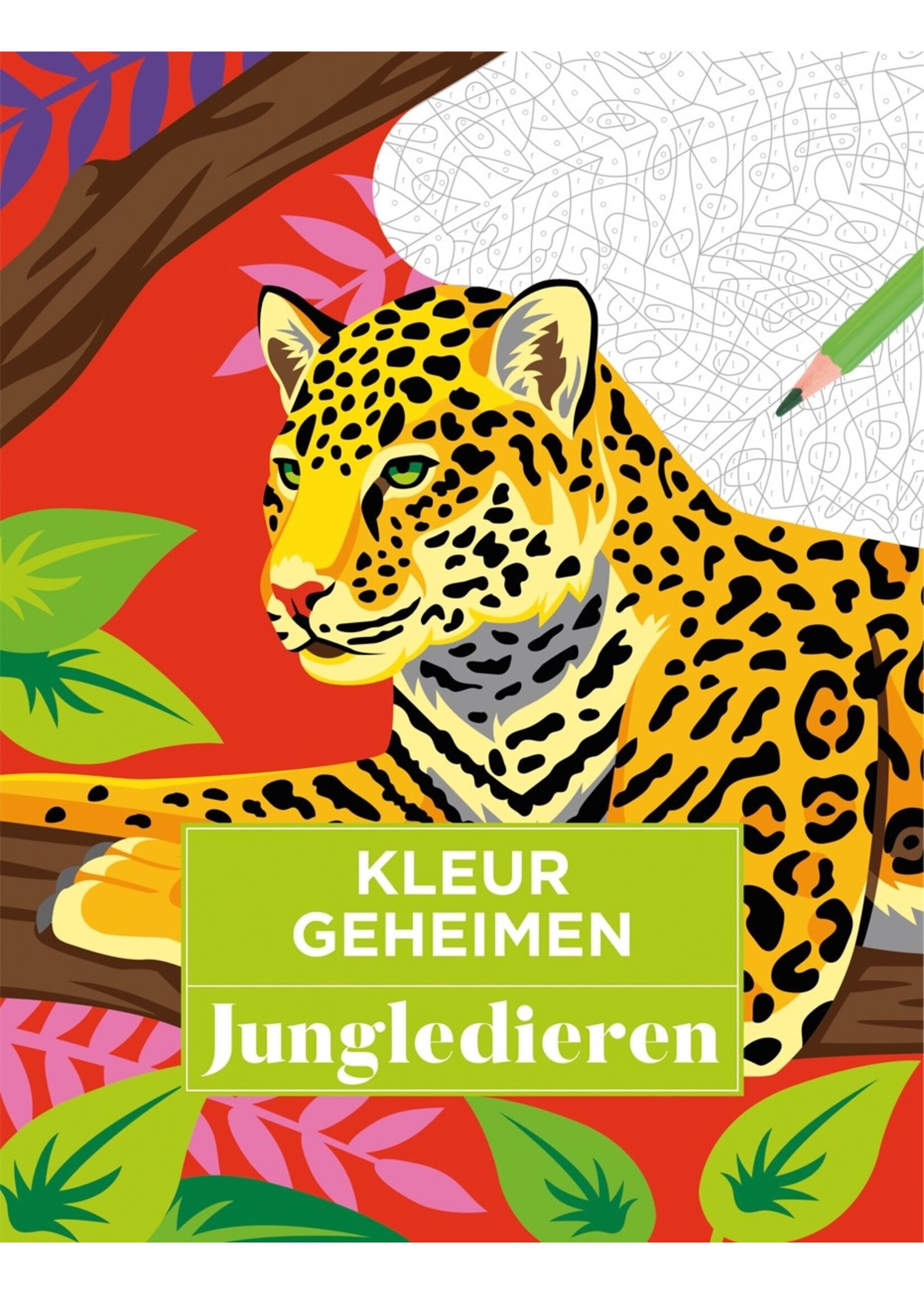 Lantaarn publishers Kleurgeheimen - Jungledieren