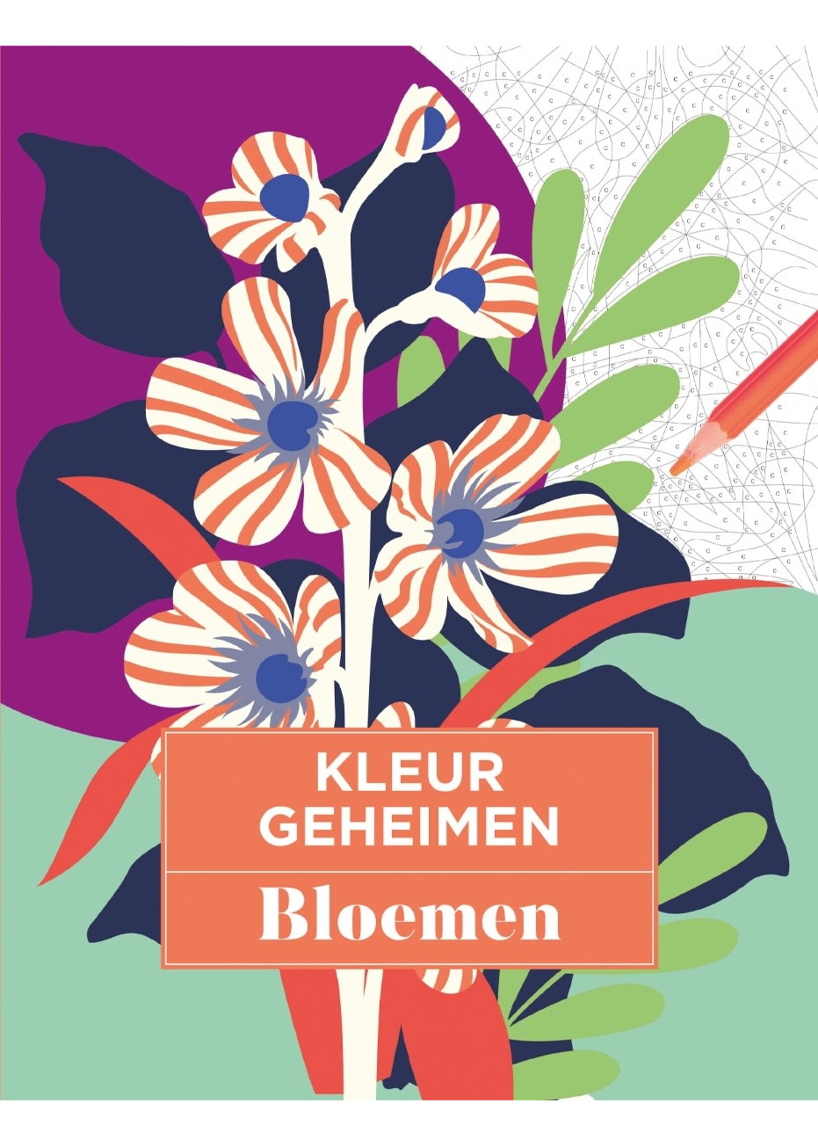 Lantaarn publishers Kleurgeheimen bloemen