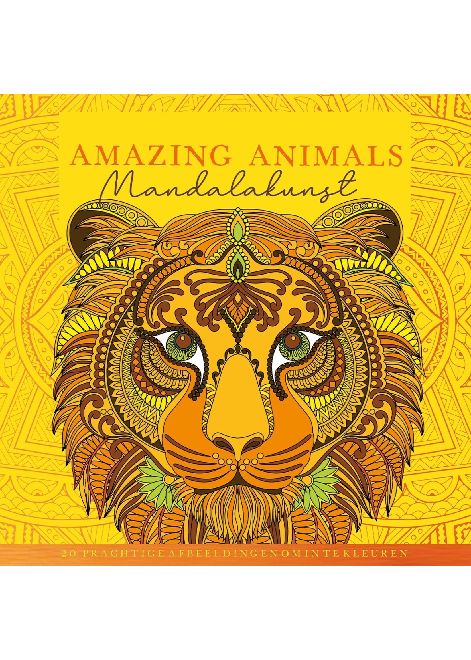 Lantaarn publishers Amazing animals - mandalakunst