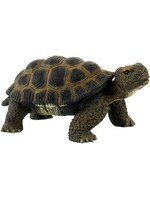 bullyland Bullyland Schildpad