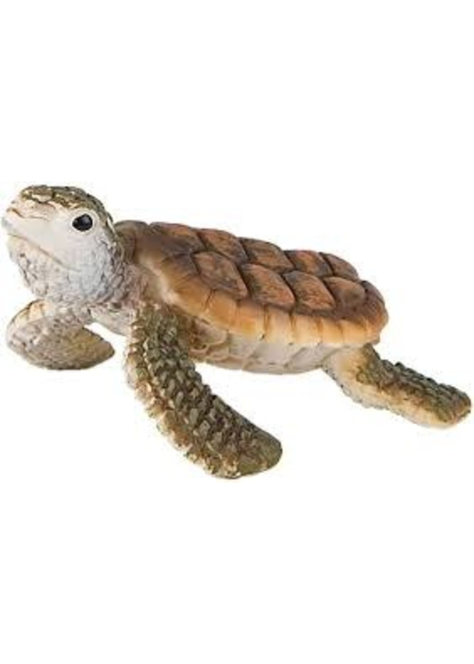 bullyland Bullyland Jonge Zeeschildpad