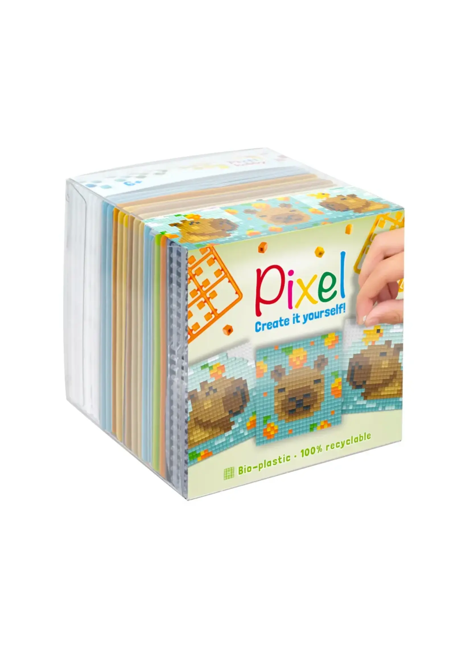 Pixel Pixel Hobby 3-pack - Capibara