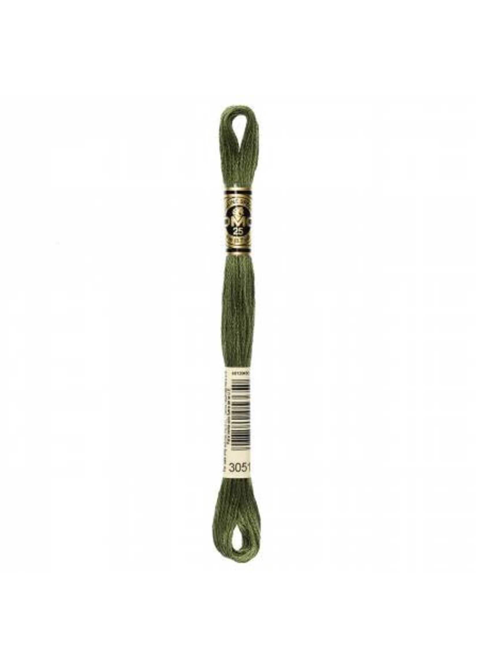 DMC DMC Mouliné Splijtzijde - Groen (3051)