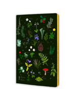 Flame tree Flametree notebook The forest floor