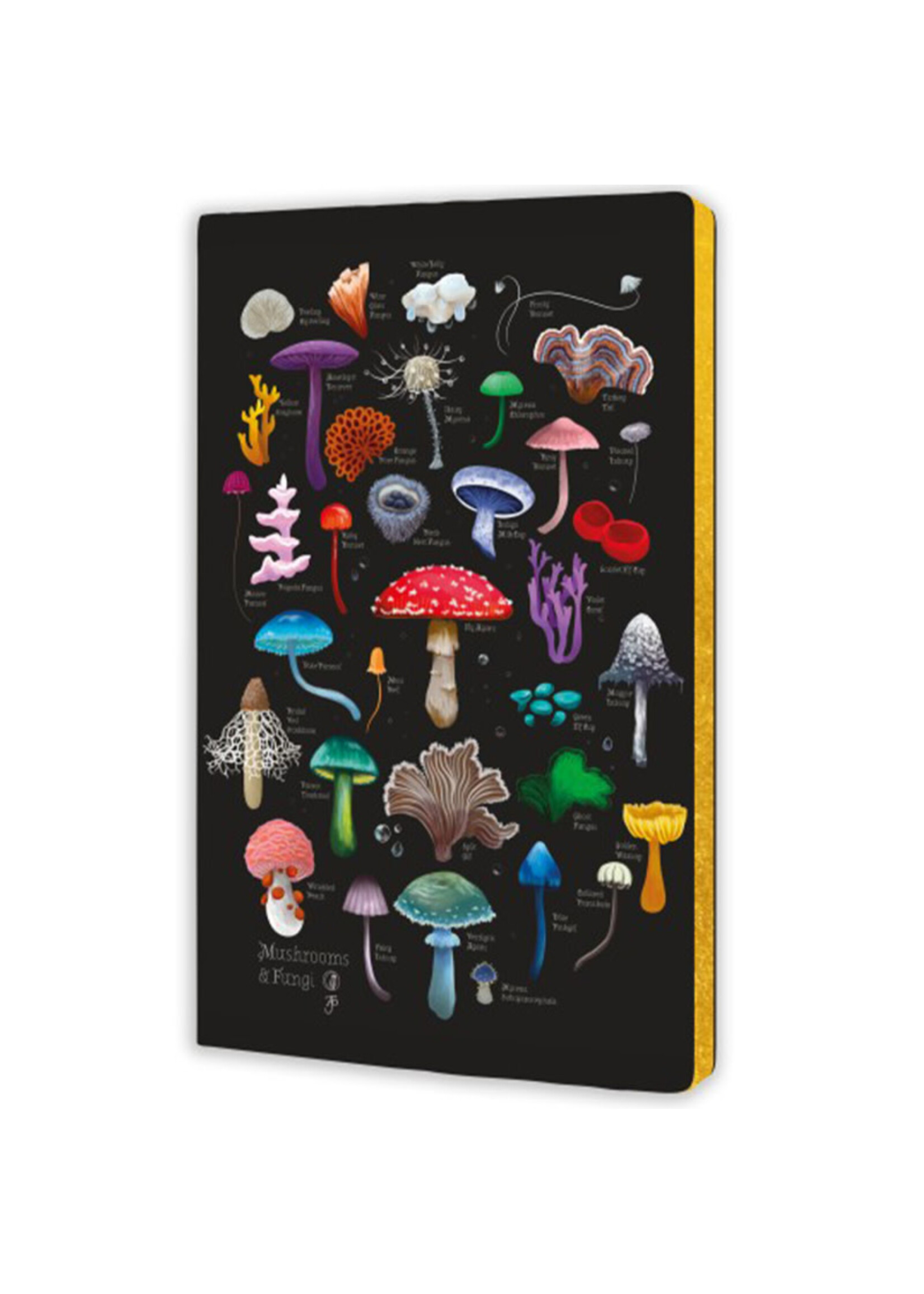 Flame tree Flame tree Notitieboek MUSHROOMS & FUNGI