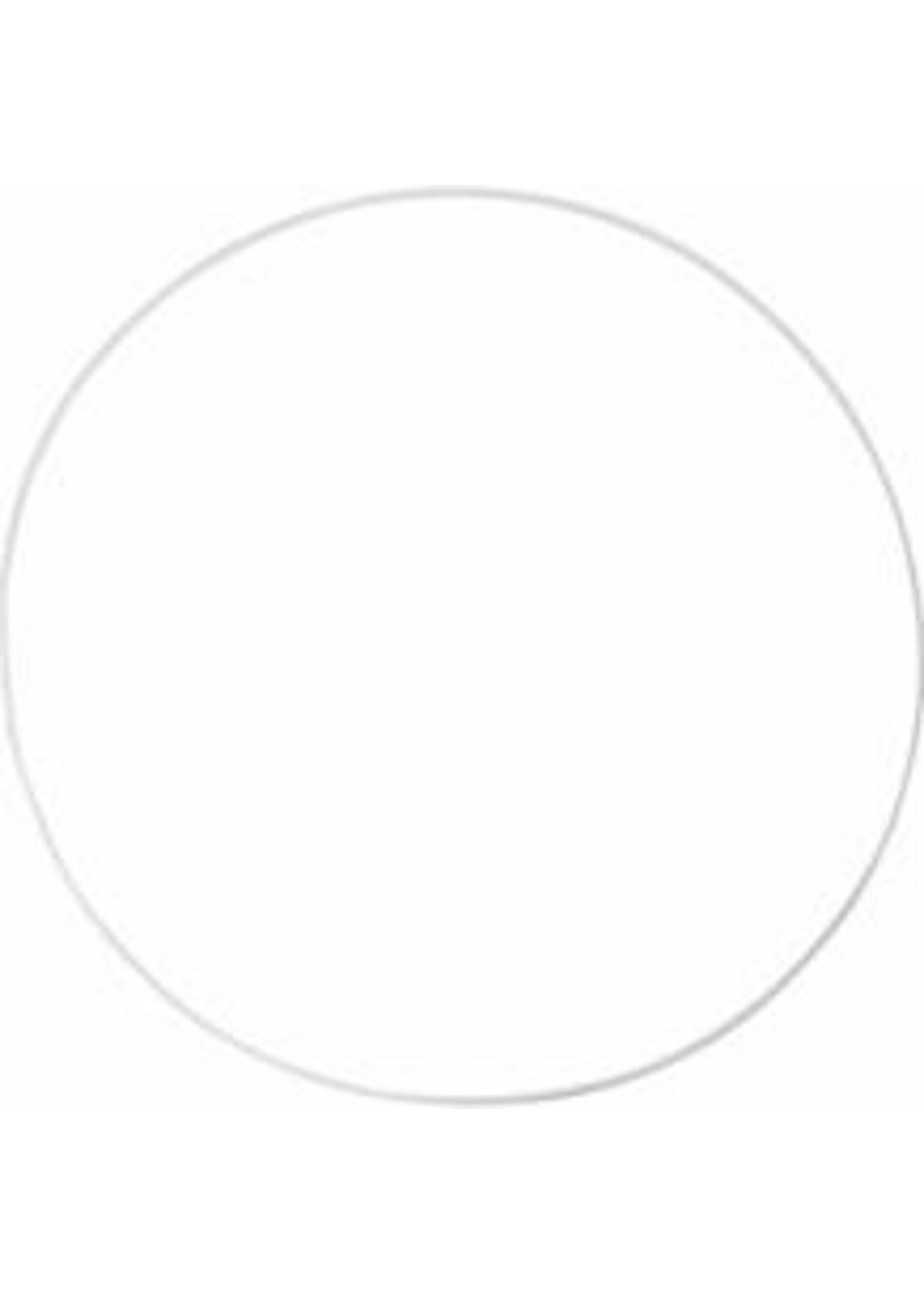 CChobby CC Metalen draad ring 20 cm Wit