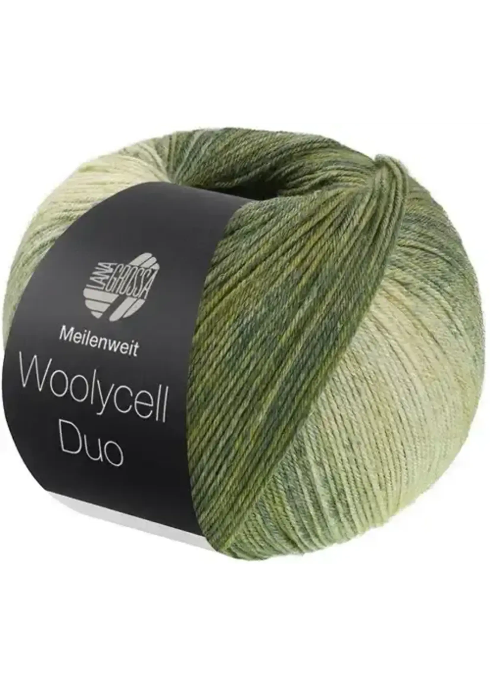 Lana Grossa Lana Grossa Woolycell Duo 6008 Olijf-/Grijsgroen/Grijsbeige