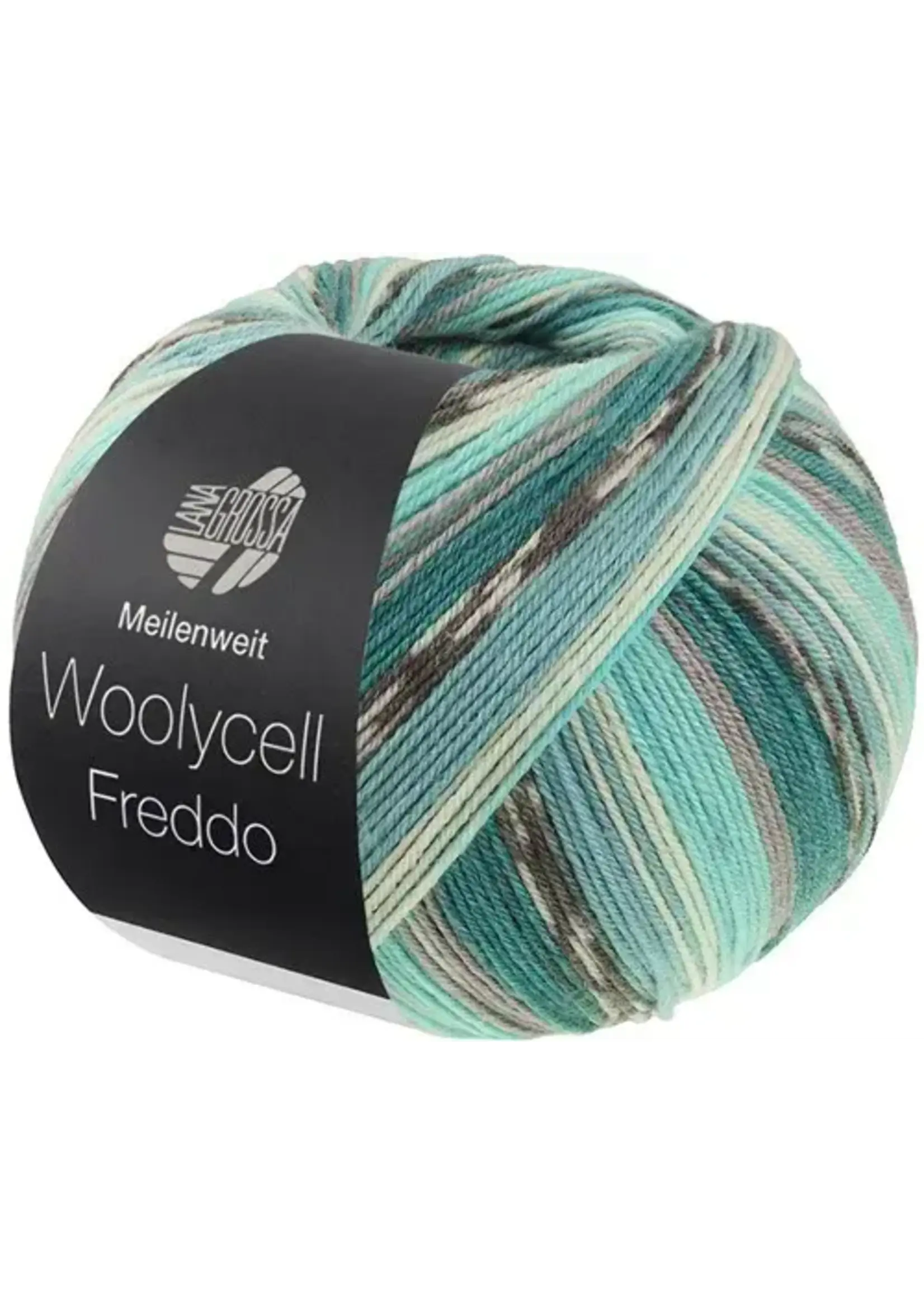 Lana Grossa Lana Grossa Woolycell Freddo 6044 Petrolgroen Multi