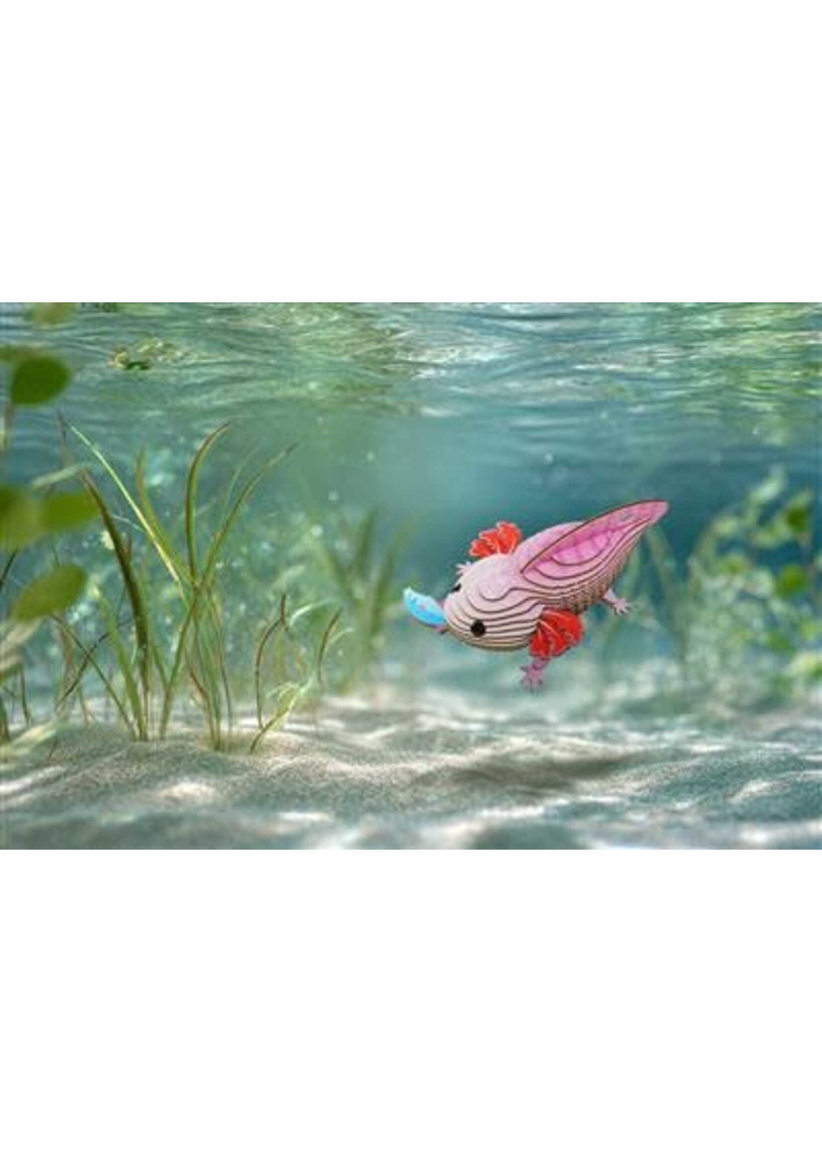 Eugy EUGY 3D Puzzle - Axolotl