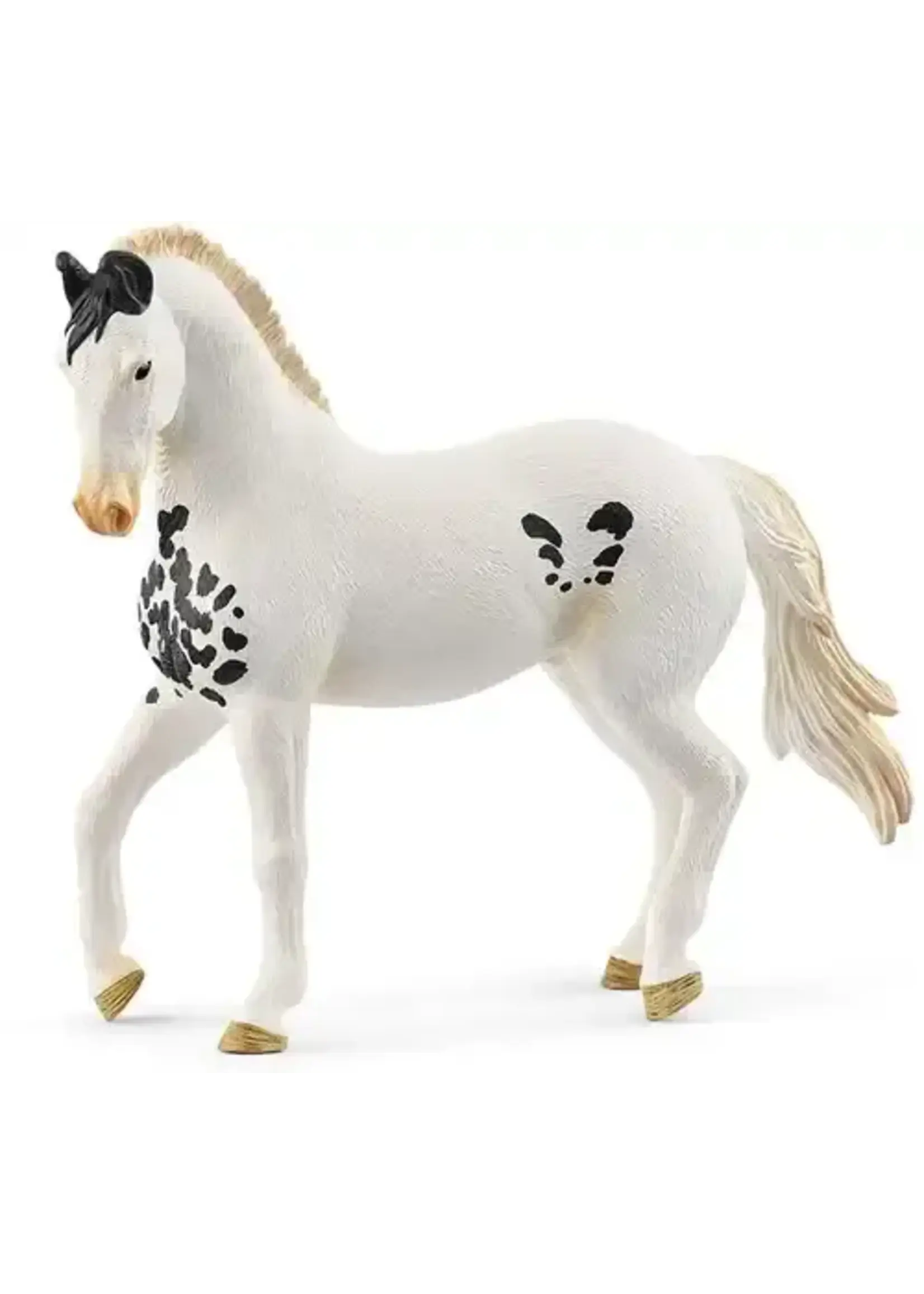 Schleich Schleich Horse Club Marwari Stallion