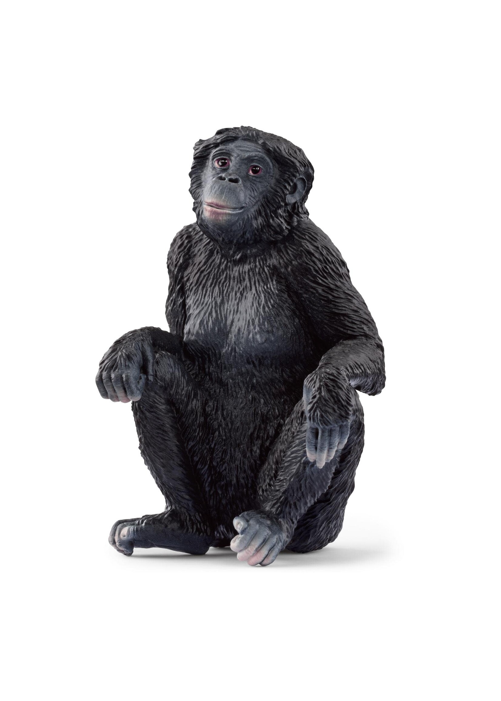 Schleich Schleich  Bonobovrouwtje
