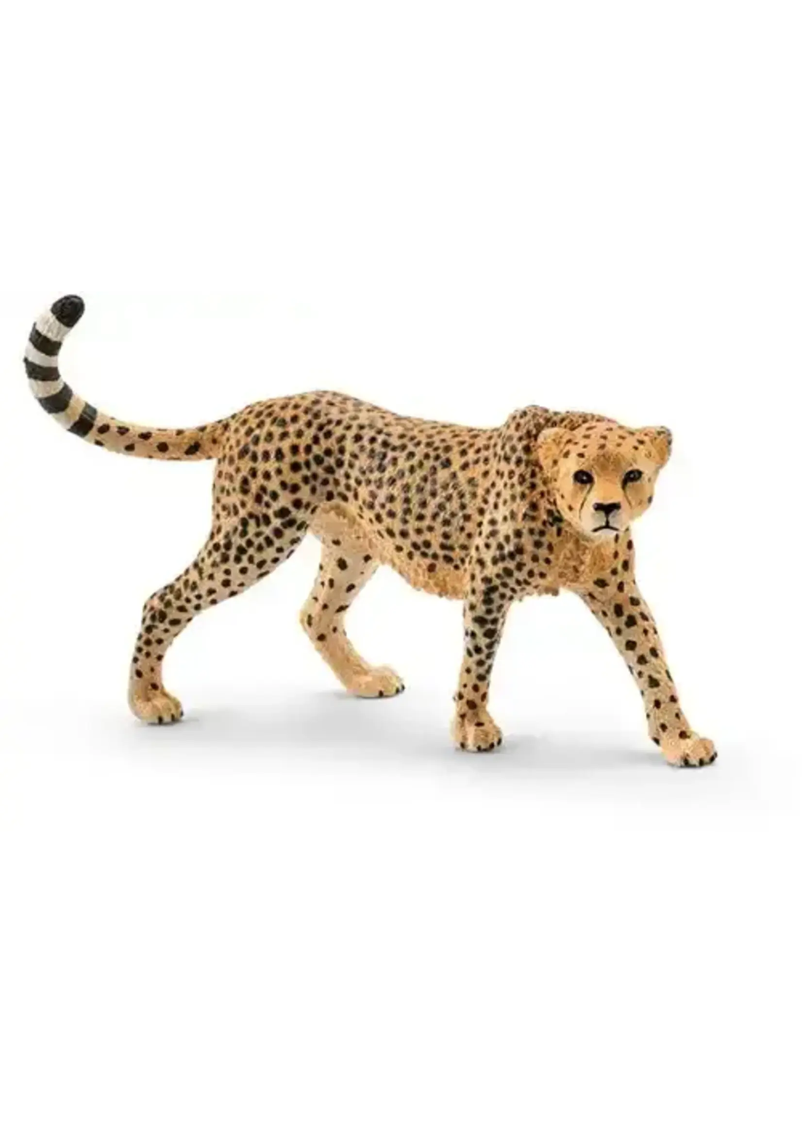 Schleich Schleich Wild Life Cheetah, female
