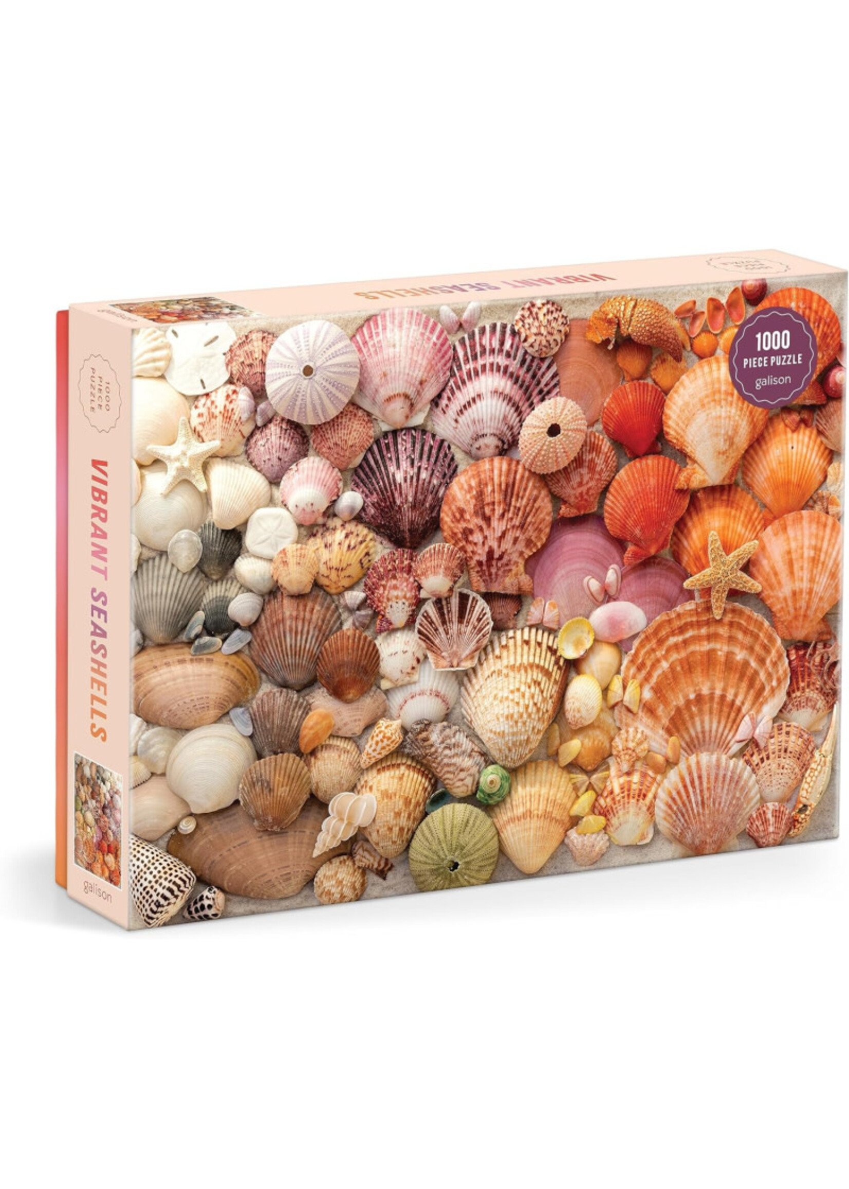 Galison Galison JP-SEASHELLS (1000 stukjes)