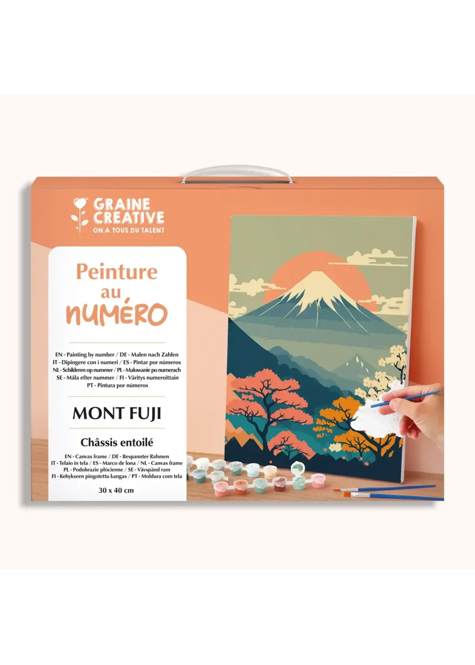 Graine Creative Graine creative schilderen op nummer Berg Fuji