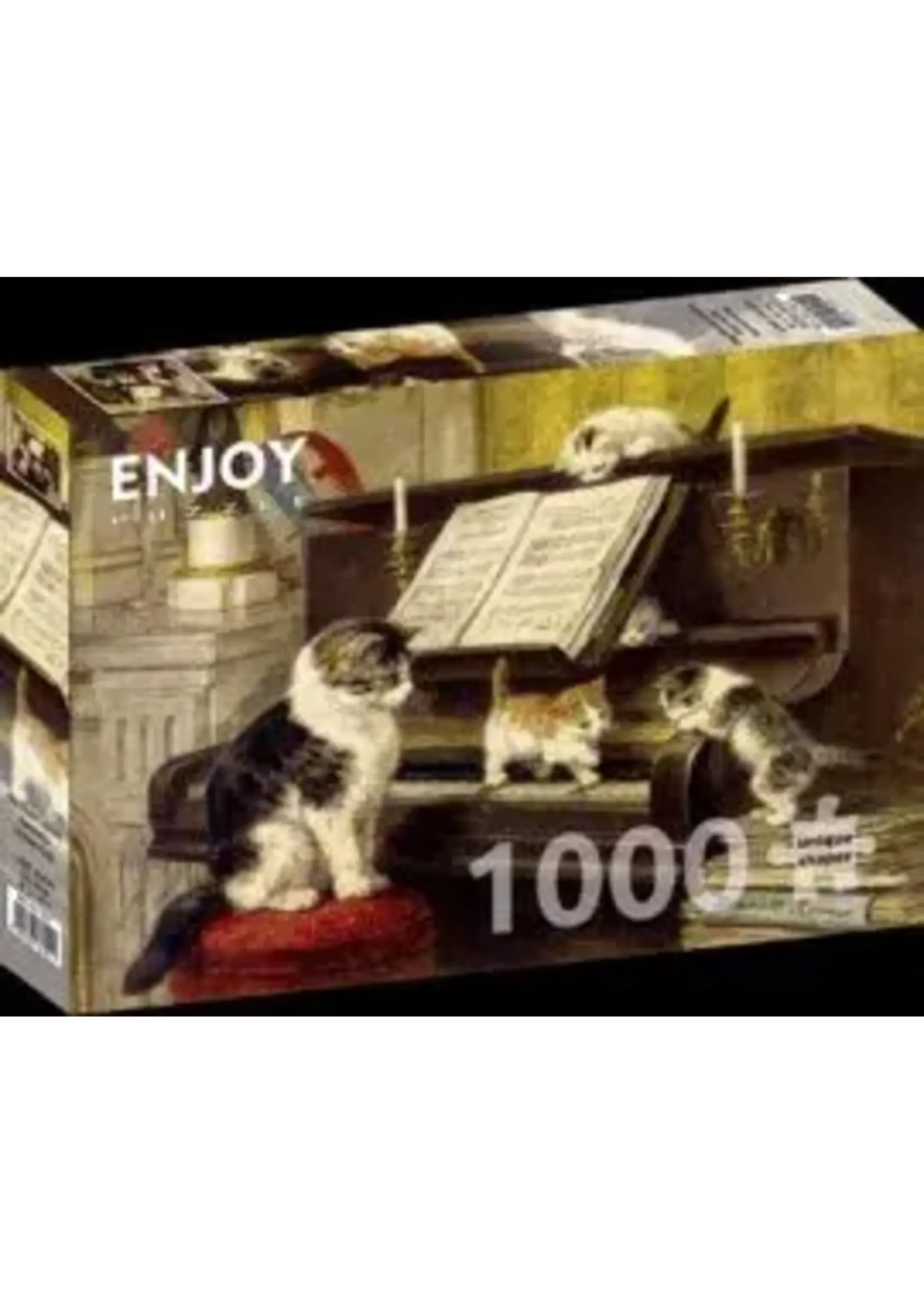 Enjoy Puzzle Enjoy The Piano Lesson, Henriette Ronner-Knip (1000)