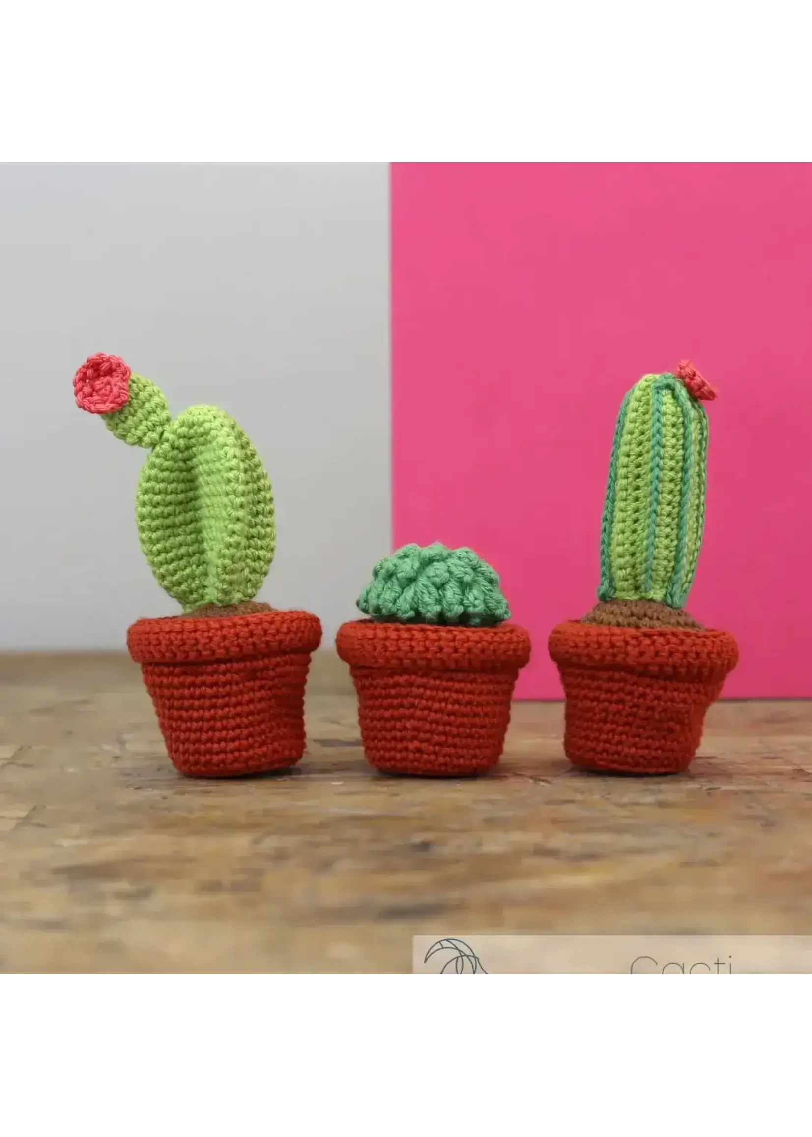 Hardicraft Hardicraft - Haakpakket Cactussen