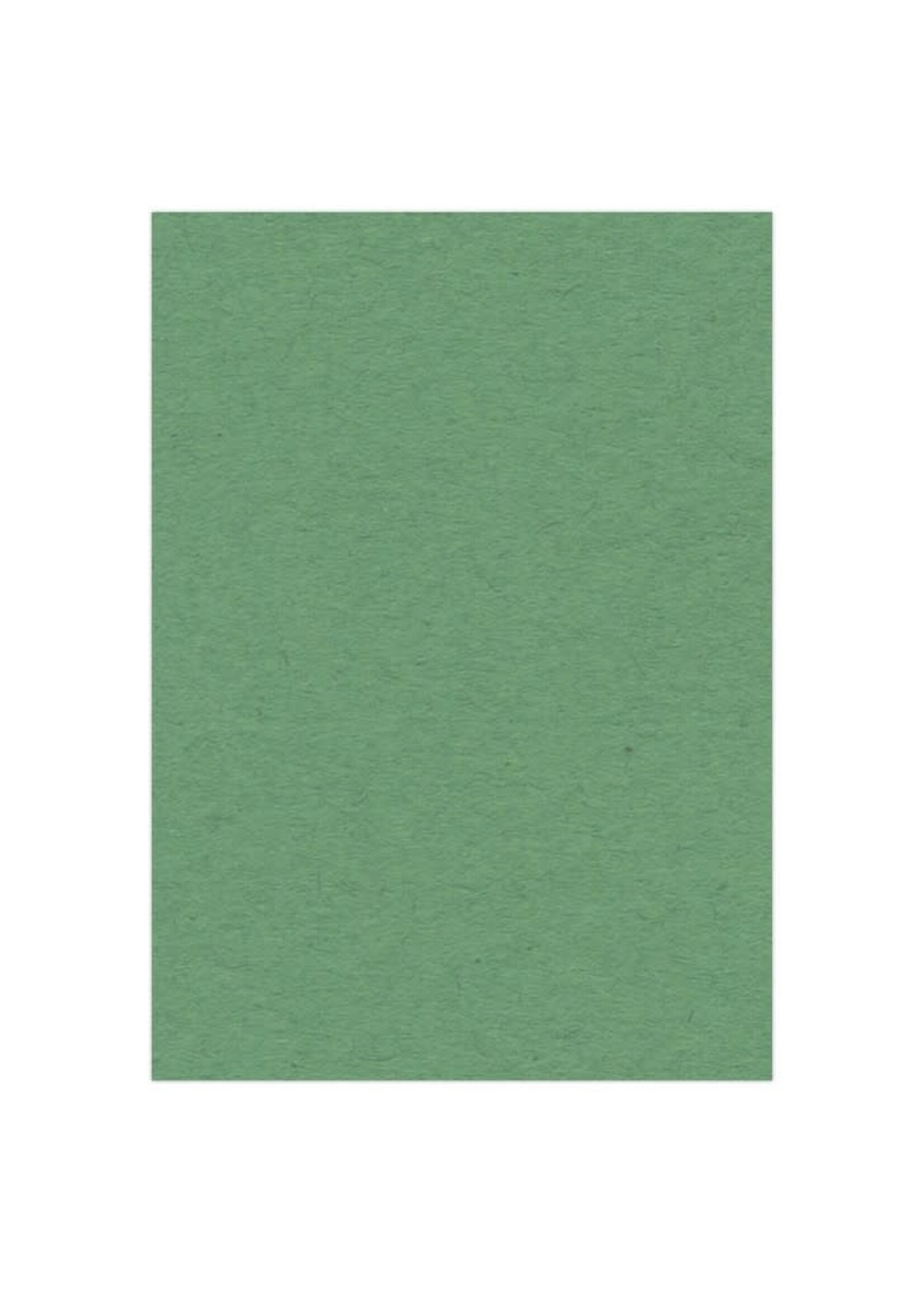 Card deco A4 Groen Fotokarton 270 gr. 10 vel