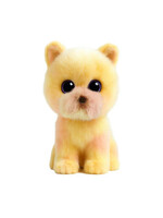 Ty Ty palmer pomeranion