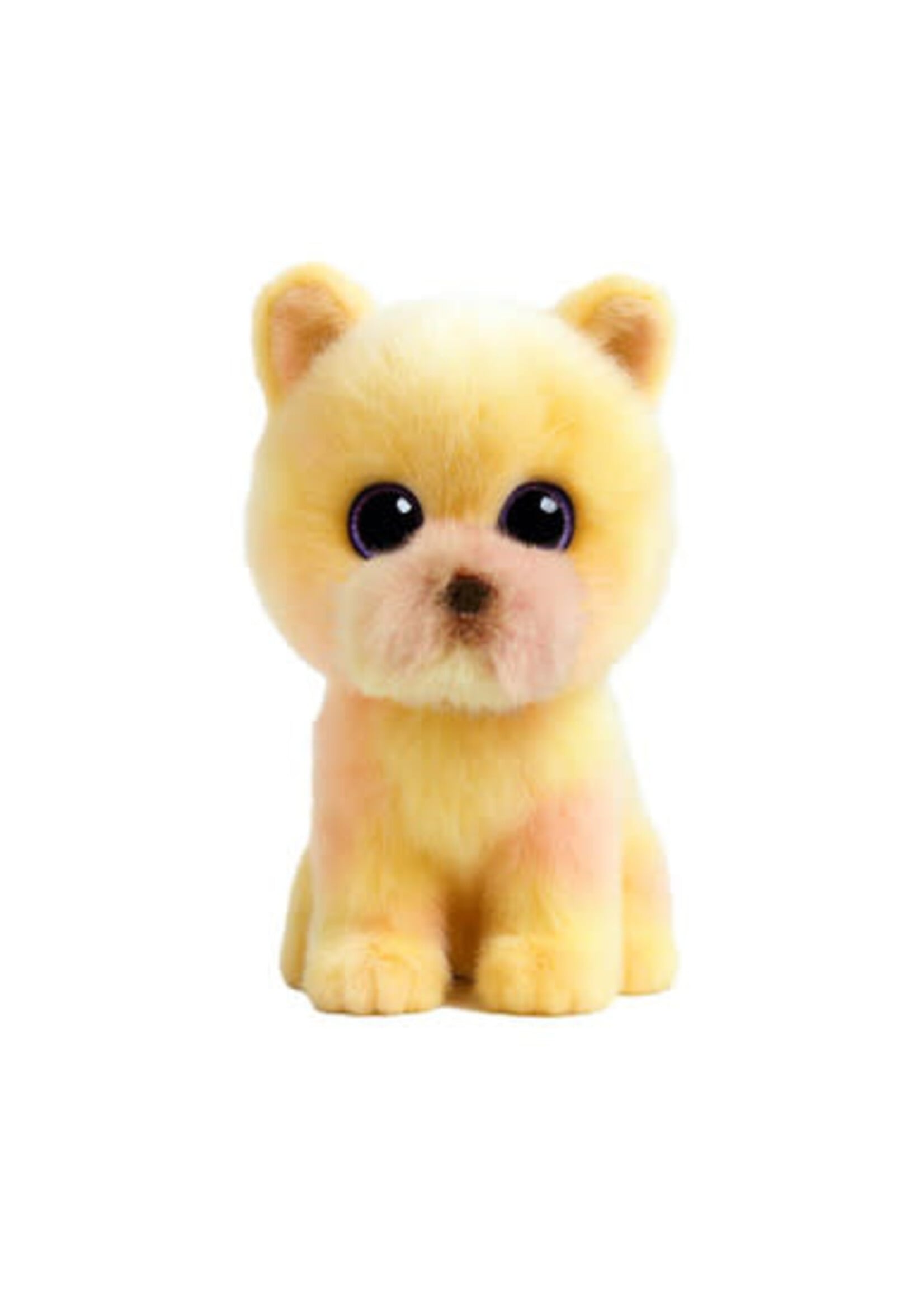 Ty Ty palmer pomeranion
