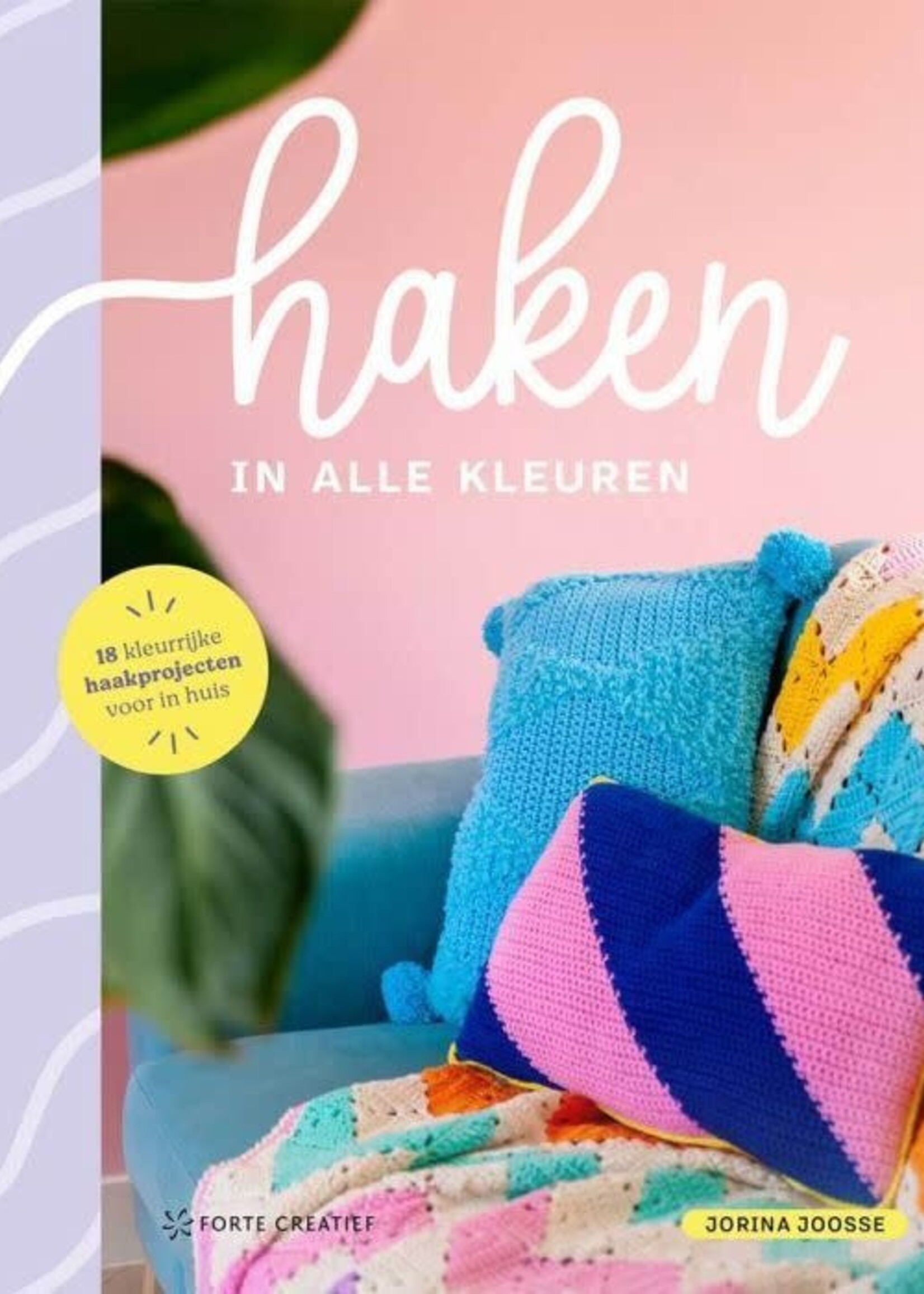 Haken in alle kleuren - Jorina Joosse