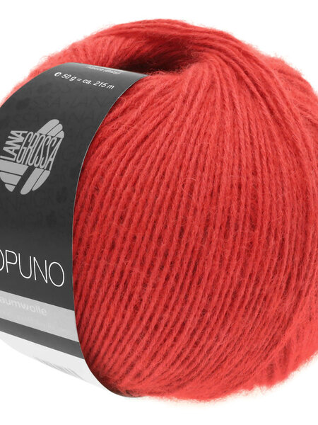 Lana Grossa Ecopuno -06 rood