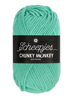 Scheepjes Chunky Monkey - Scheepjes -1422 Aqua