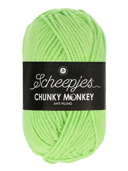 Scheepjes Chunky Monkey - Scheepjes -1316 Pistachio