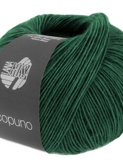 Lana Grossa Ecopuno -210 sparrengroen