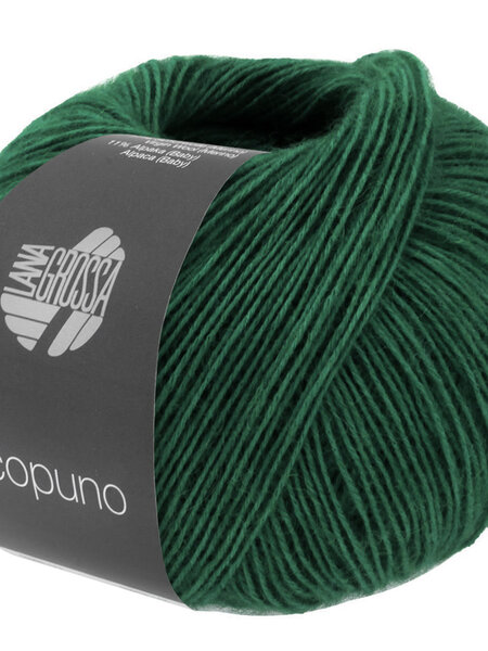 Lana Grossa Ecopuno -210 sparrengroen