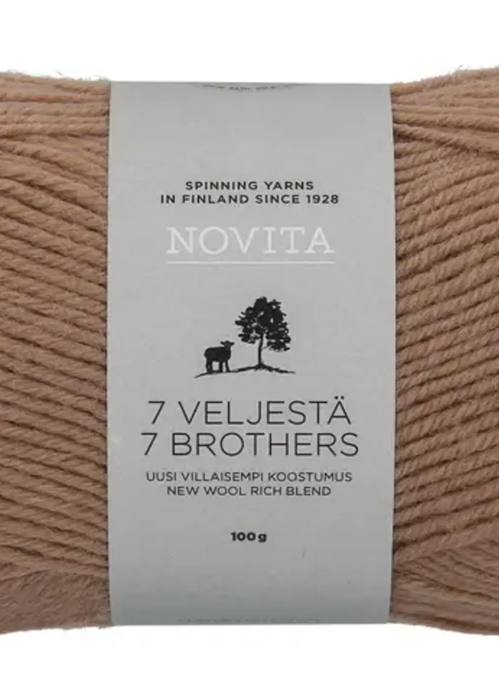 Novita 7 Veljestä 100g -618 sandbank