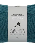 Novita 7 Veljestä 100g -185 spell