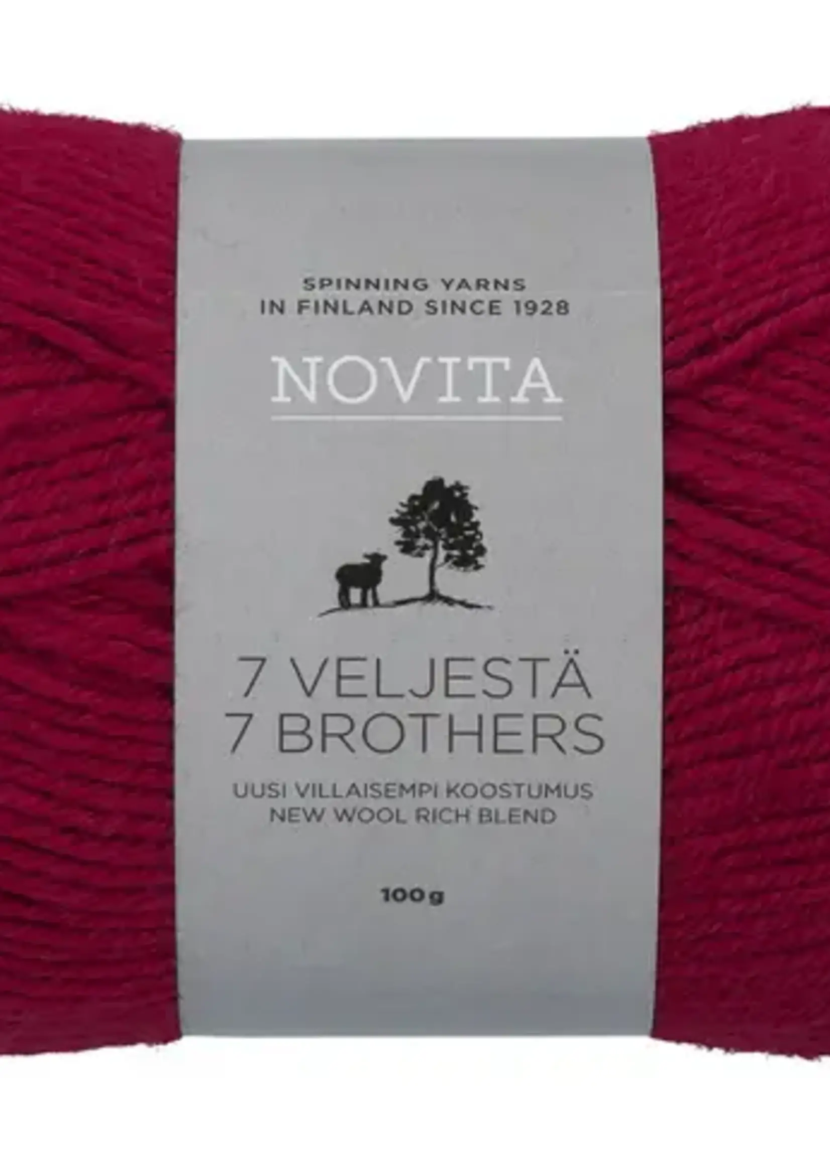 Novita 7 Veljestä 100g -587 cranberry