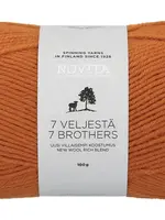 Novita 7 Veljestä 100g -273 brittlegill